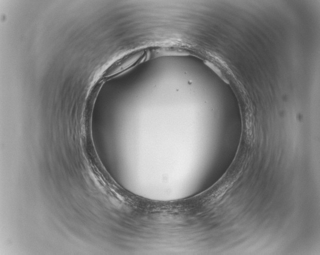 X0000054470532200508191730