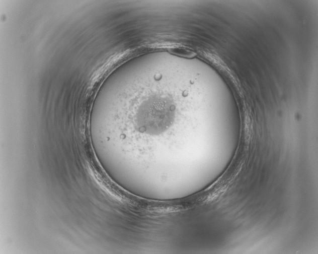 X0000054470533200508191730