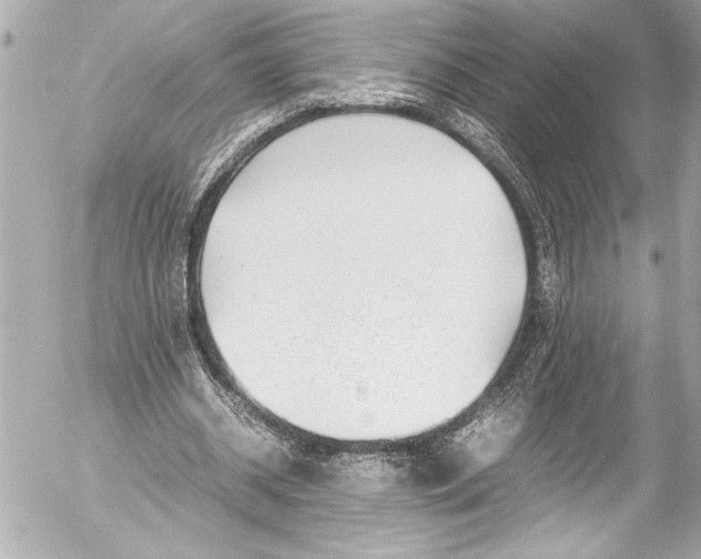 X0000054470534200508191730