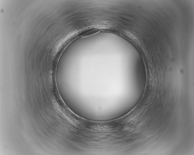 X0000054470535200508191730