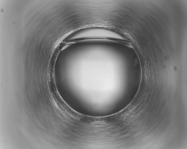 X0000054470536200508191730