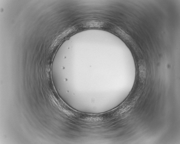 X0000054470537200508191730