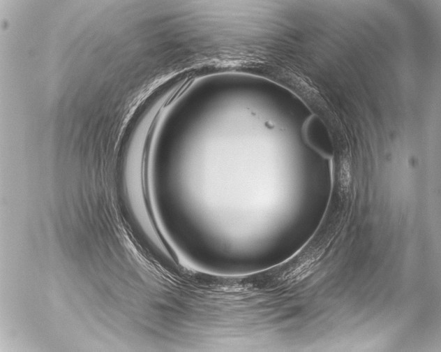 X0000054470540200508191730