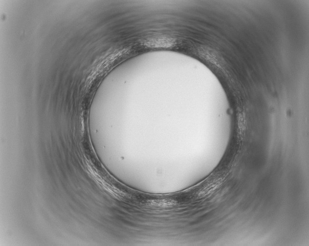 X0000054470541200508191730