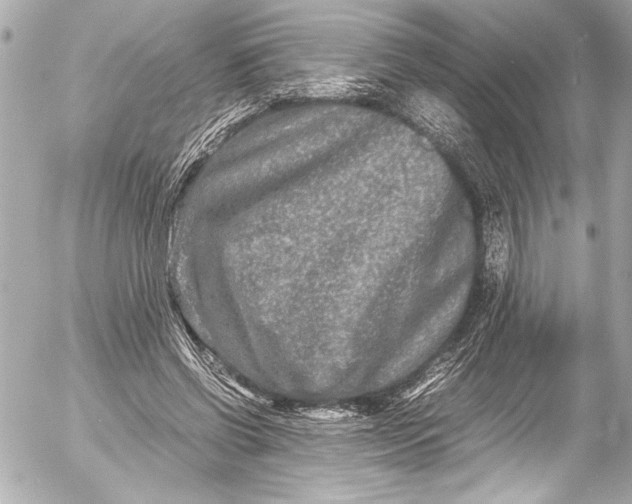 X0000054470542200508191730