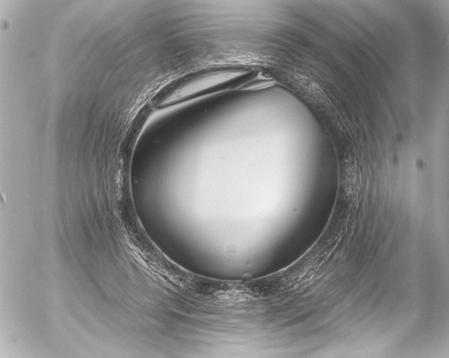 X0000054470544200508191730