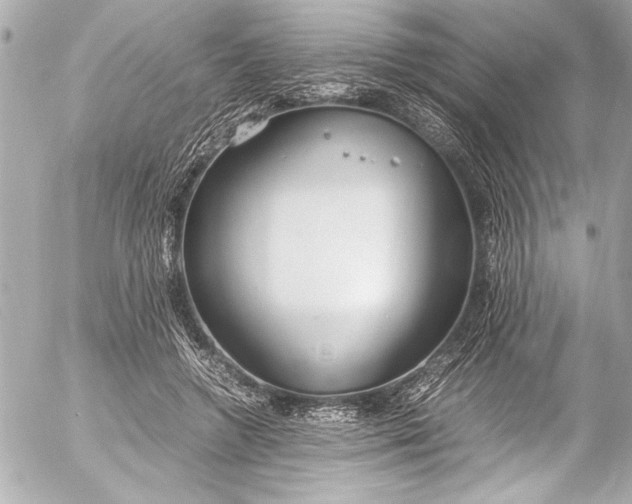 X0000054470546200508191730