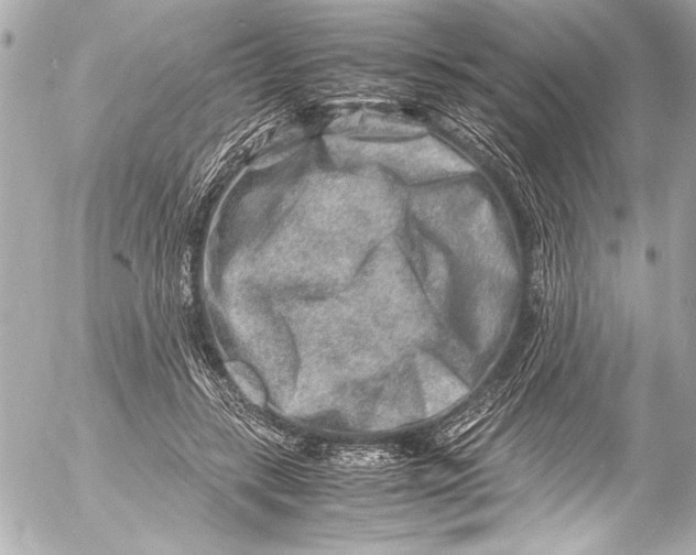 X0000054470547200508191730