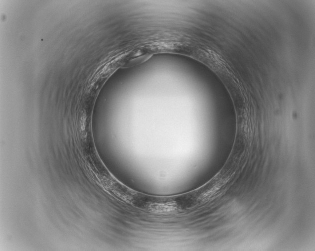 X0000054470548200508191730