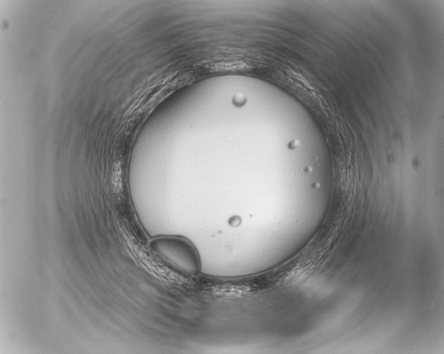 X0000054470549200508191730