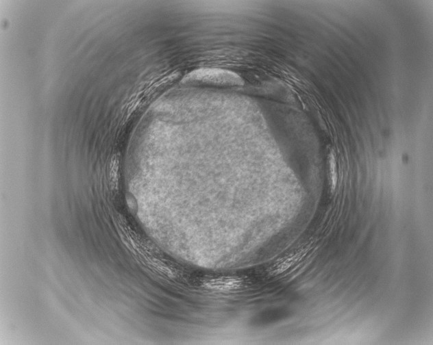 X0000054470551200508191731