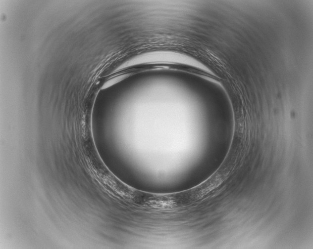 X0000054470552200508191731