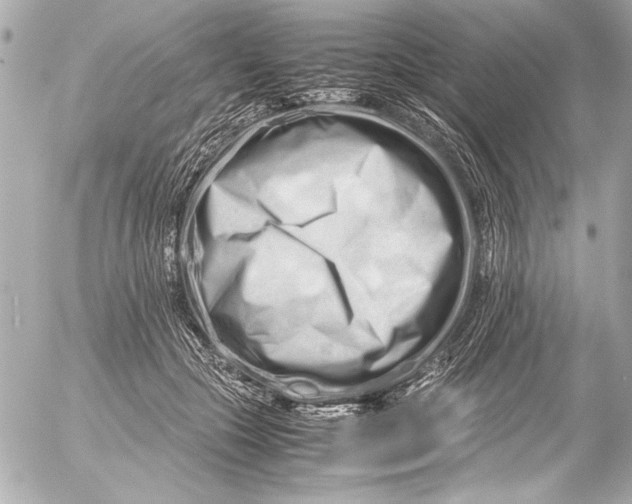 X0000054470553200508191731