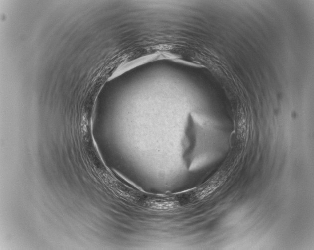 X0000054470555200508191731