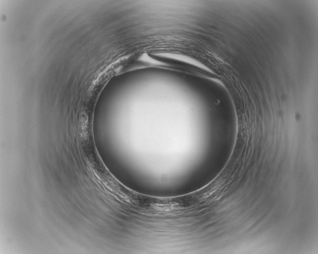 X0000054470556200508191731