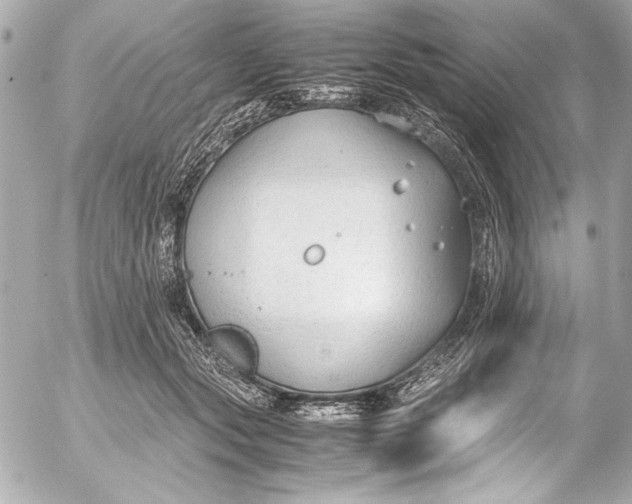 X0000054470557200508191731