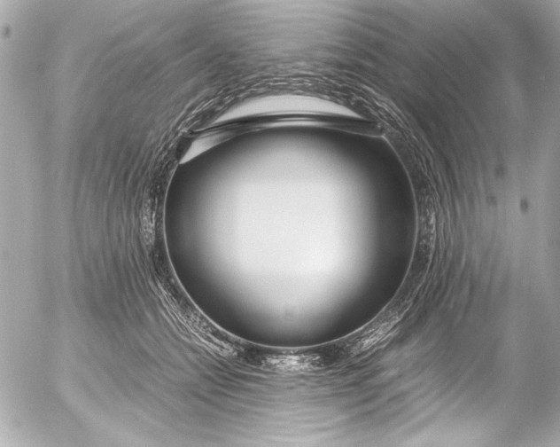 X0000054470558200508191731