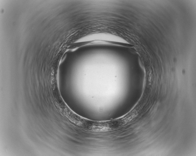 X0000054470559200508191731