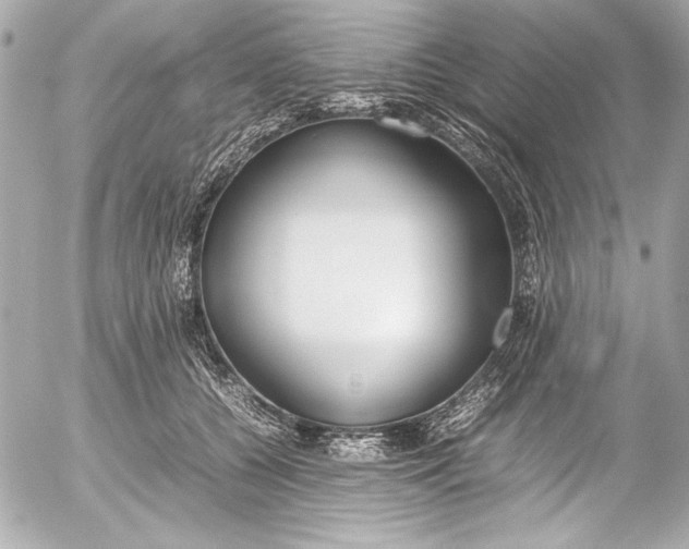 X0000054470560200508191731