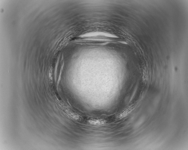 X0000054470561200508191731