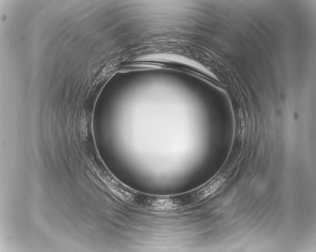 X0000054470562200508191731