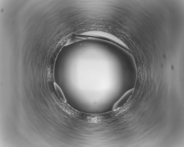 X0000054470564200508191731