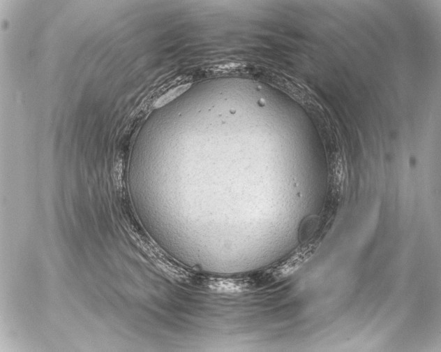 X0000054470565200508191731