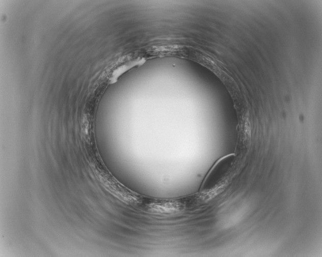 X0000054470567200508191731