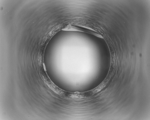 X0000054470568200508191731