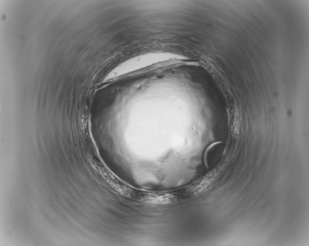 X0000054470569200508191731