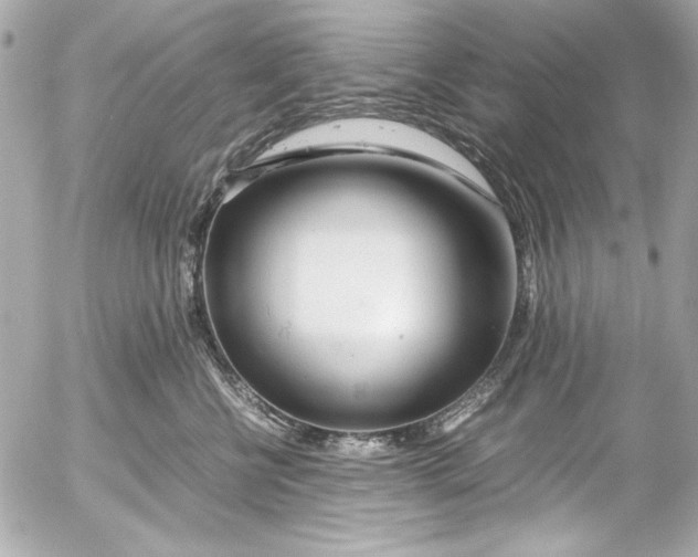 X0000054470570200508191731