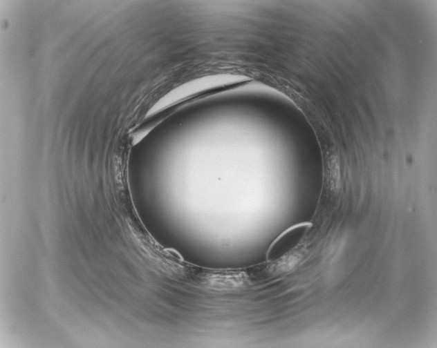 X0000054470571200508191731