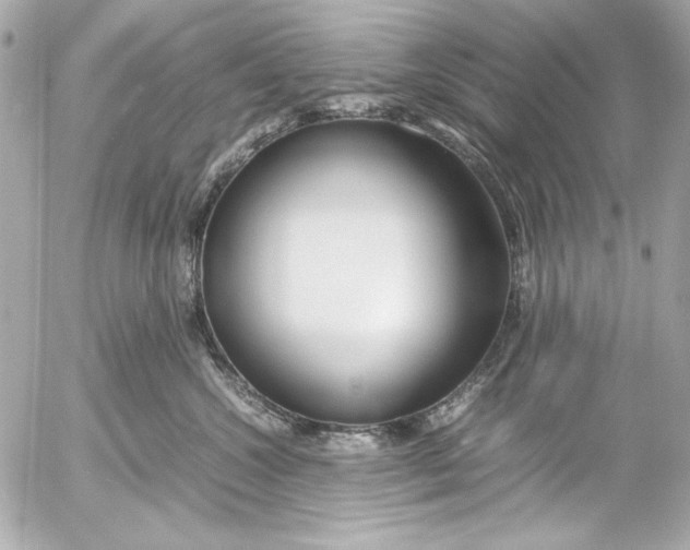 X0000054470572200508191731