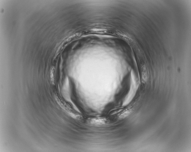 X0000054470573200508191731