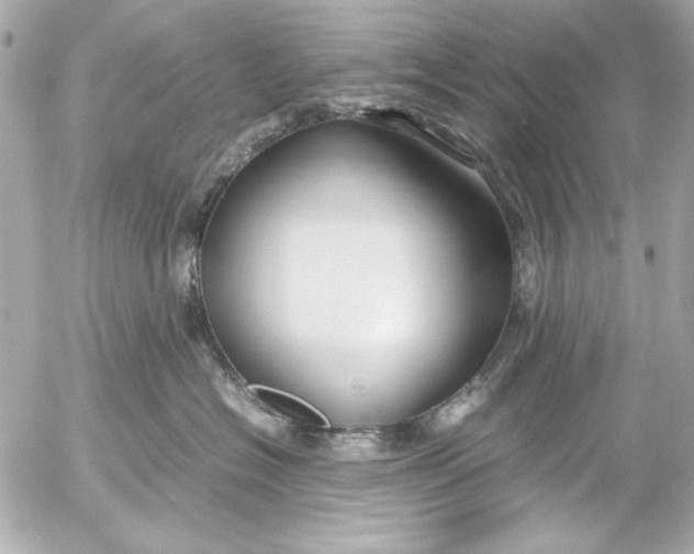 X0000054470574200508191731