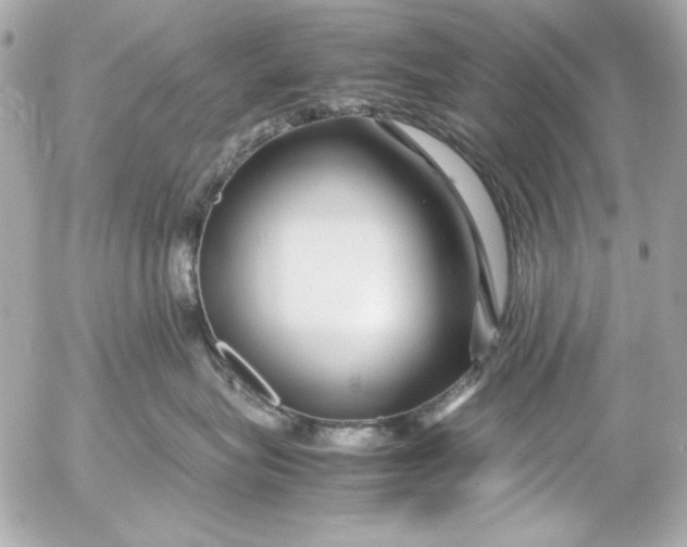 X0000054470575200508191731