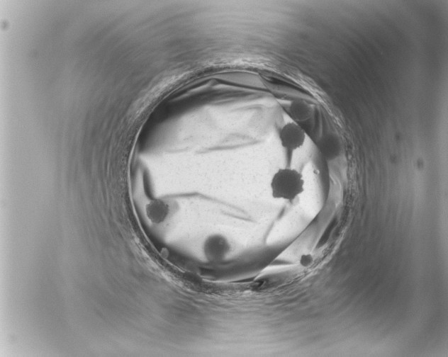 X0000054470577200508191730