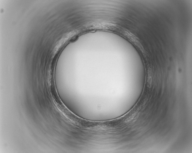 X0000054470578200508191730