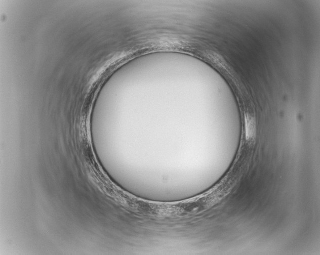 X0000054470579200508191730