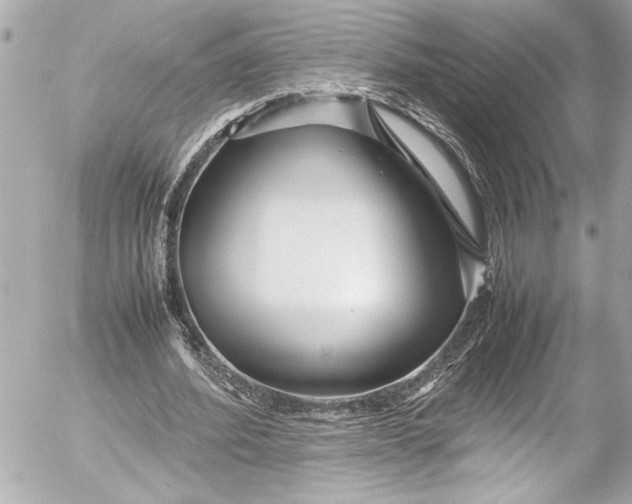 X0000054470580200508191730