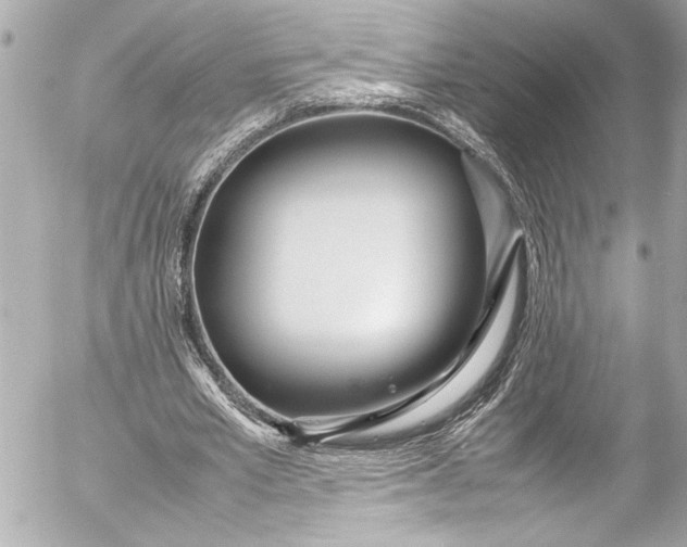 X0000054470581200508191730