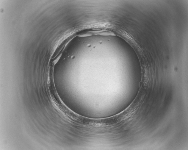 X0000054470582200508191730