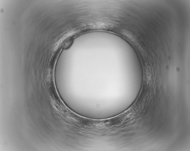 X0000054470583200508191730