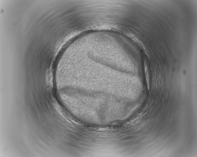 X0000054470584200508191730