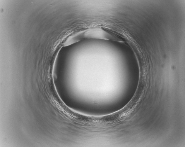 X0000054470585200508191730