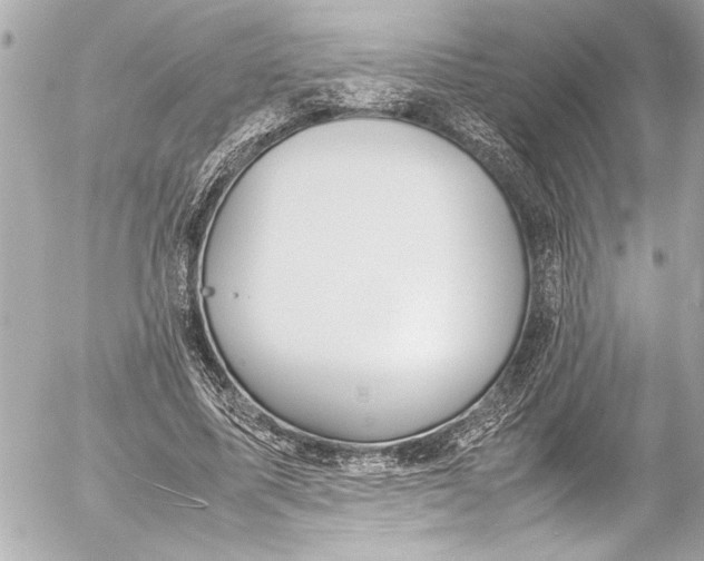 X0000054470587200508191730