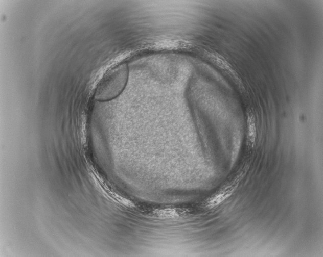 X0000054470588200508191730