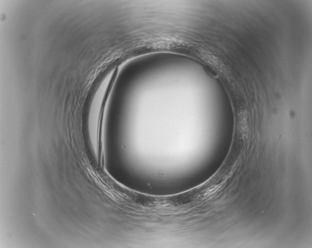 X0000054470589200508191730