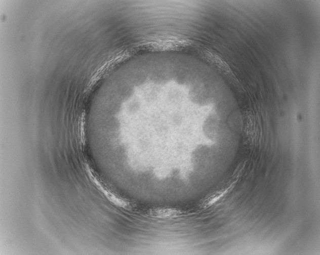 X0000054470590200508191730