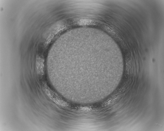 X0000054470592200508191730